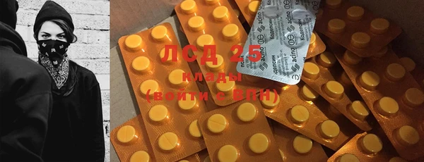 метадон Богданович