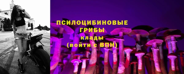 прущий лед Бородино