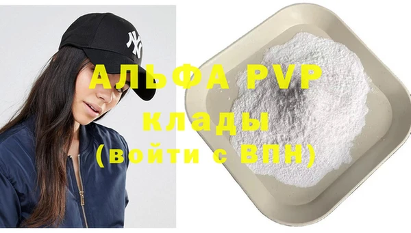 прущий лед Бородино