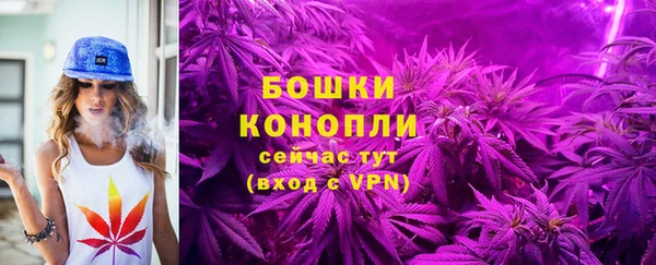 jwh Богородицк