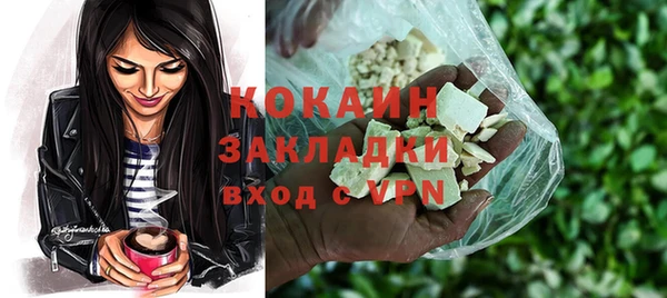 прущий лед Бородино