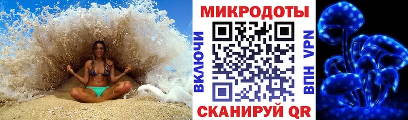 Псилоцибиновые грибы мицелий где найти Кирсанов